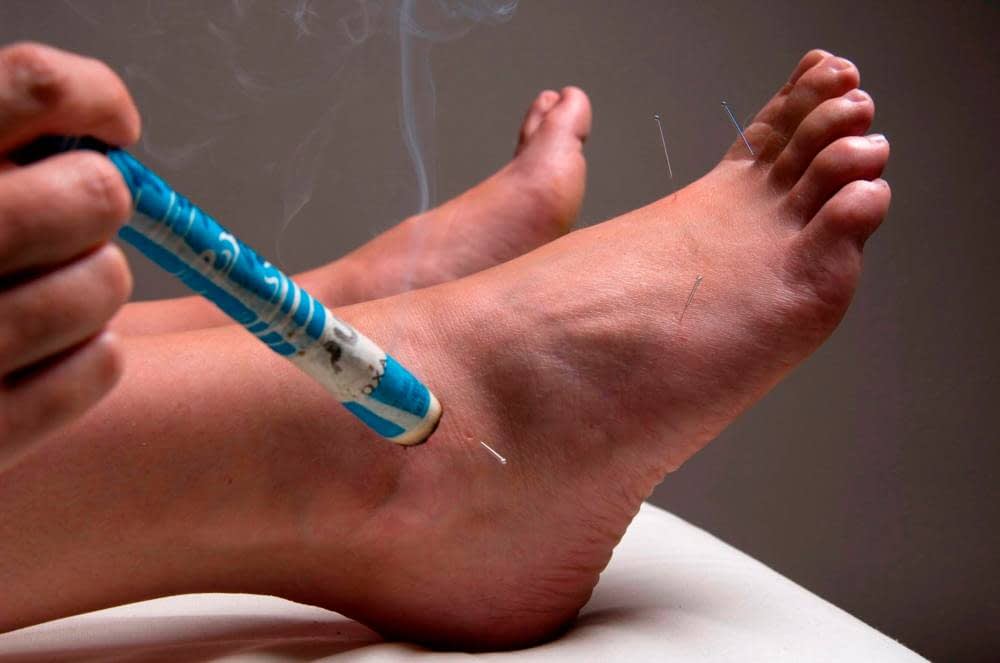 Ver detalles de la Empresa Dra. Mar&iacute;a Lourdes Mendiald&uacute;a