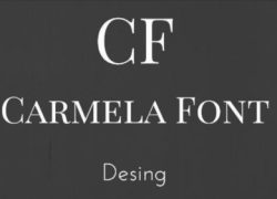 Ver detalles de la Empresa Carmela Font Decoradora y Dise&ntilde;adora