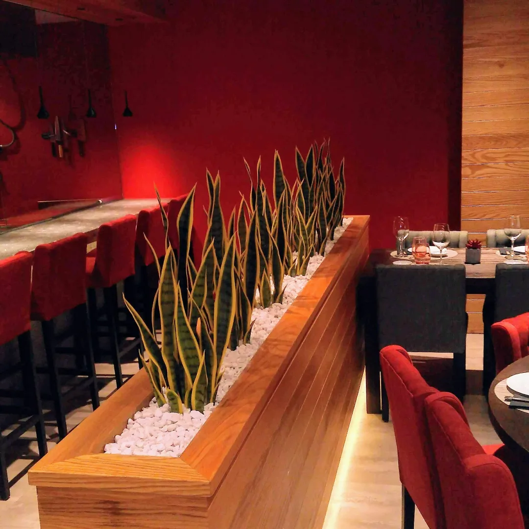 Ver detalles de la Empresa El Bosque calidad artificial